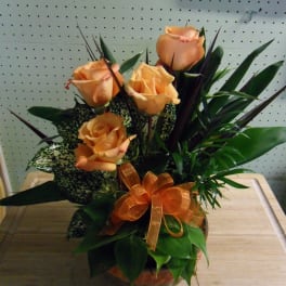 Orange roses arranged in a vase with a ribbon bow