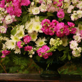 Pink and white flower arrangement in a dark vase