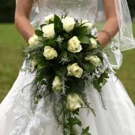 Bride holding a cascading bouquet of white roses with trailing greenery