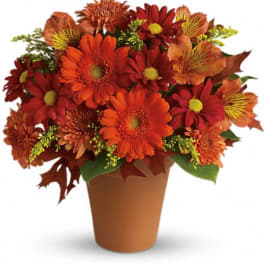 Orange and red mixed flowers arranged in a brown pot