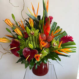 Tropical bouquet with orchids, anthuriums, and bird-of-paradise in a red vase