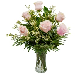 vased soft pink roses with greenery and filler