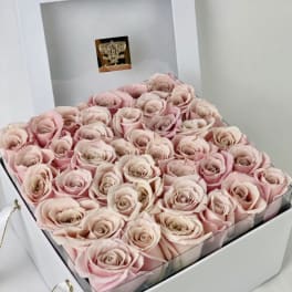 Box of pale pink roses in a white gift box