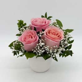 Three pink roses in a white pot with baby's breath