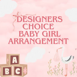 Pink baby girl arrangement graphic with blocks, clouds, and a stork illustration