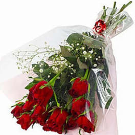 Bouquet of red roses wrapped in clear plastic
