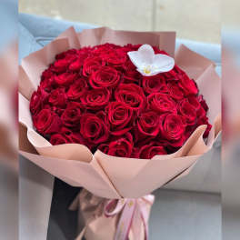 Bouquet of red roses wrapped in pale pink paper with a white orchid accent