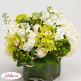 White and green floral arrangement in a square glass vase