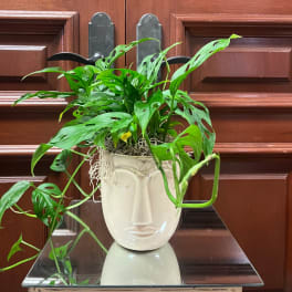 Potted trailing plant in a white face-shaped vase