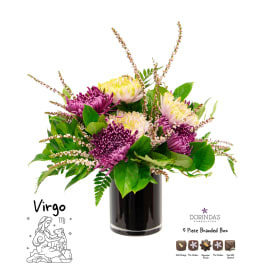 Virgo "Birthday Bundle"