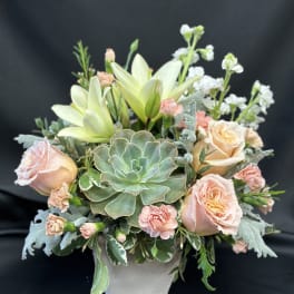 Peach roses and lilies arranged with a succulent in a square vase