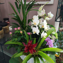Mixed floral arrangement with white orchids, pink roses, and red tropical blooms in a white container