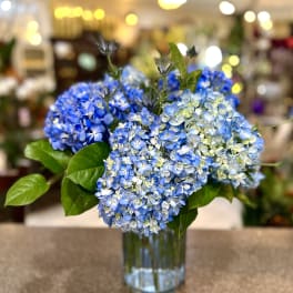 Blue hydrangea bouquet in a clear glass vase