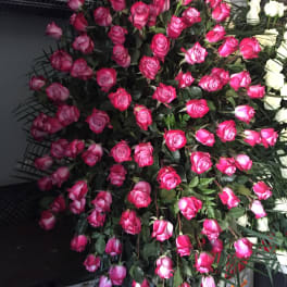 Large bouquet of pink and white roses with greenery