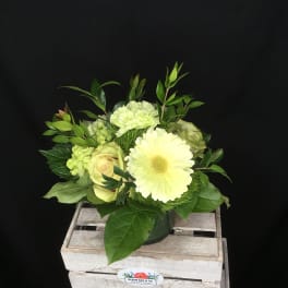 Pale yellow flower arrangement in a dark vase with greenery