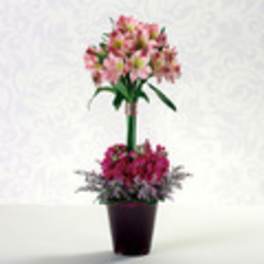 Pink flowers arranged in a tall potted display