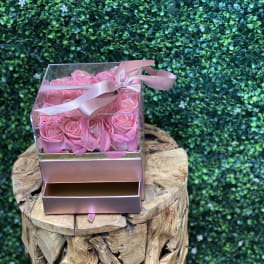 Pink roses in a clear gift box with a ribbon