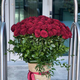 Large bouquet of red roses in a burlap-wrapped container with a pink ribbon