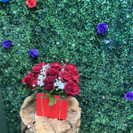 Red roses in a red box with white filler flowers