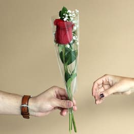 Single red rose in clear plastic wrap being handed over