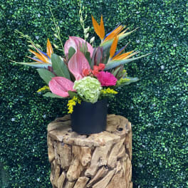 Tropical bouquet with pink anthuriums and bird of paradise in a black vase