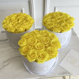 MFS Eternity Roses (Yellow) Mini Box