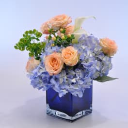 Peach roses and blue hydrangeas in a square glass vase