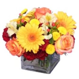 Bouquet of yellow gerbera daisies and peach roses in a square vase