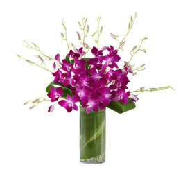 Tall glass vase of purple dendrobium orchids with a green leaf wrap inside