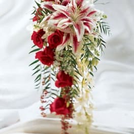 Red roses and white lilies in a cascading bridal bouquet