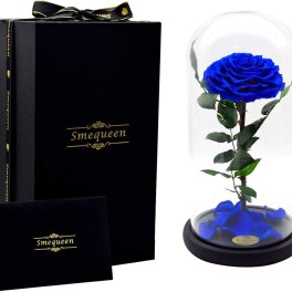 Blue rose under a glass dome beside a black gift box