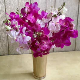 Pink and white orchids arranged in a tall glass vase