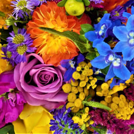 Bright mixed bouquet with roses, daisies, and blue flowers