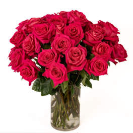 Dozen-plus hot pink roses arranged in a clear glass cylinder vase filled with water