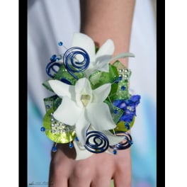 White orchid wrist corsage with blue spiral accents and green ribbon