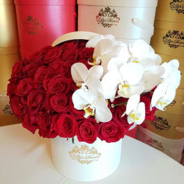 Orchid Round Box by D'Lily's Flowers