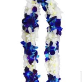 Blue & white lei