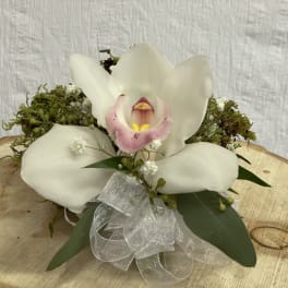 White orchid arrangement with a sheer ribbon on a wooden slab