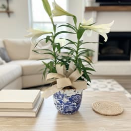 Blue Chinoiserie Easter Lily