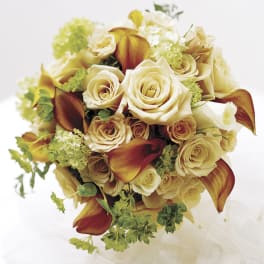 Bouquet of cream roses and burgundy calla lilies
