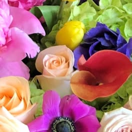 Colorful bouquet with roses, calla lilies, and a purple anemone