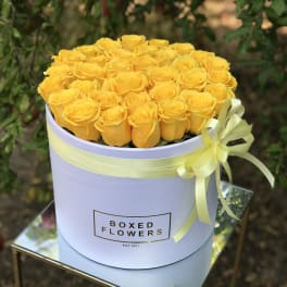 25 yellow rose signature box