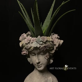 Potted aloe plant in a sculpted face planter with butterfly decorations