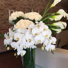 White orchids, roses, and calla lilies in a tall glass vase