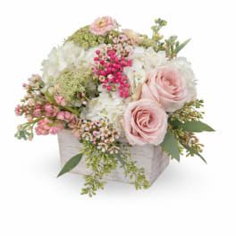 Pink roses and white hydrangeas in a white wooden box