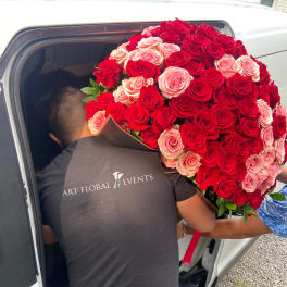 Large bouquet of red and pink roses being carried into a car