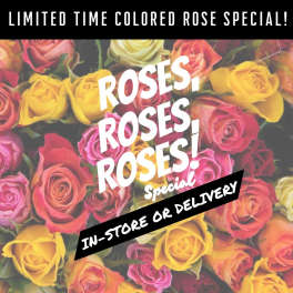 SPECIAL! Colored Roses Vased