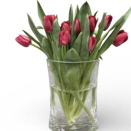 Just Tulips