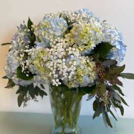 Blue hydrangea bouquet in a glass vase with white filler flowers
