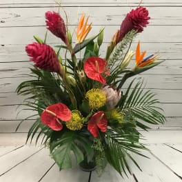 PFM Tropical Bouquet Designer's Choice